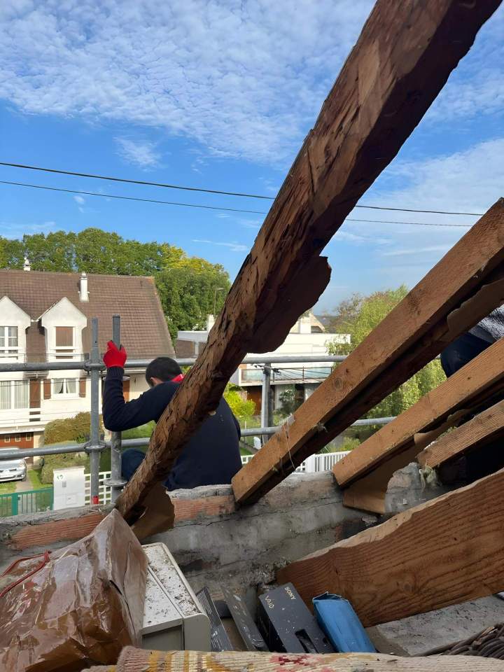 Solidité et pérennité de la structure de votre habitat