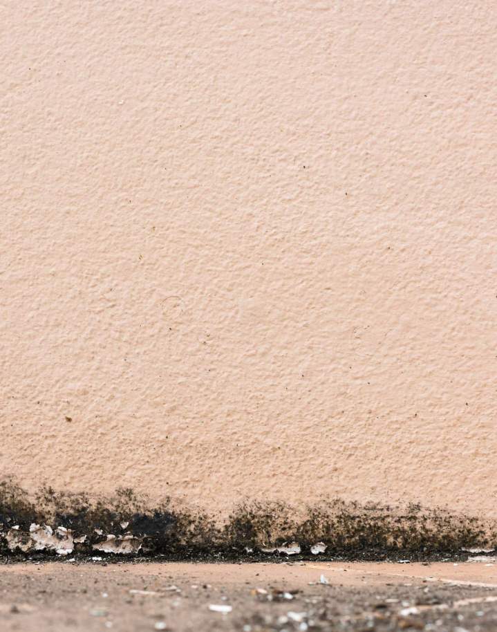 Traitement des remontées humides Île-de-France